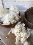 Loose Sheep Wool